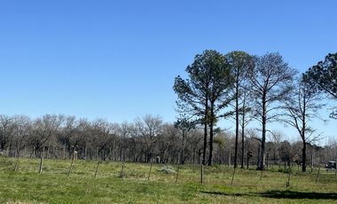 Venta Lote - Estancia Carabassa - Pilar | VCO Propiedades