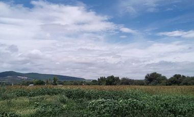 Terreno con factibilidad industrial en excelente ubicación