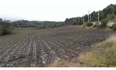 VENDO FINCA MUNICIPIO SOPO VEREDA YERBABUENA SAN GABRIEL, Sopó