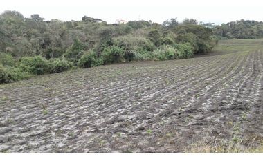 VENDO FINCA MUNICIPIO SOPO VEREDA YERBABUENA SAN GABRIEL, Sopó