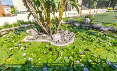 Casa en Venta Morelos Yautepec Arco Antiguo Yautepec