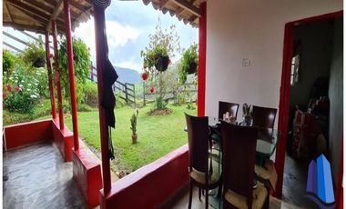 Finca agroindustrial ubicada en el municipio de Abejorral Antioquia.