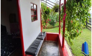 Finca agroindustrial ubicada en el municipio de Abejorral Antioquia.