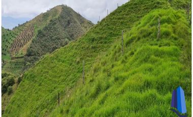 Finca agroindustrial ubicada en el municipio de Abejorral Antioquia.