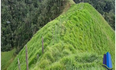 Finca agroindustrial ubicada en el municipio de Abejorral Antioquia.