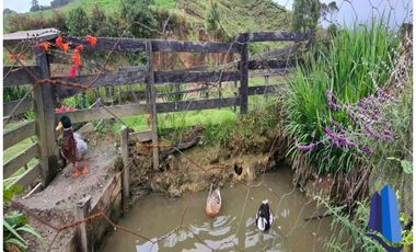 Finca agroindustrial ubicada en el municipio de Abejorral Antioquia.