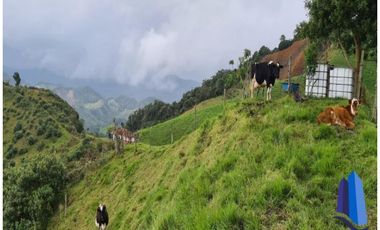 Finca agroindustrial ubicada en el municipio de Abejorral Antioquia.