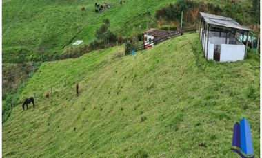 Finca agroindustrial ubicada en el municipio de Abejorral Antioquia.