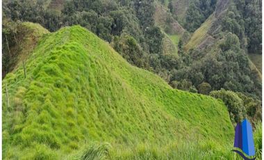 Finca agroindustrial ubicada en el municipio de Abejorral Antioquia.