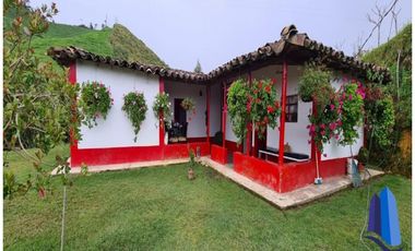 Finca agroindustrial ubicada en el municipio de Abejorral Antioquia.