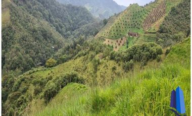 Finca agroindustrial ubicada en el municipio de Abejorral Antioquia.