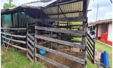 Finca agroindustrial ubicada en el municipio de Abejorral Antioquia.