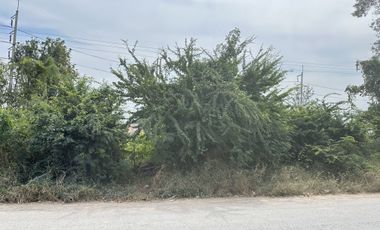 Land for sale in Cha-Am, Phetchaburi