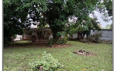 CASA EN PARQUE LEFEVRE CON EXTENSO METRAJE  4REC 3B 967M2