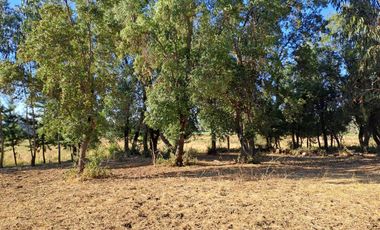 Parcela en venta en SAN CLEMENTE