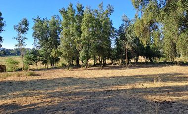 Parcela en venta en SAN CLEMENTE
