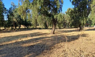 Parcela en venta en SAN CLEMENTE