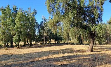 Parcela en venta en SAN CLEMENTE