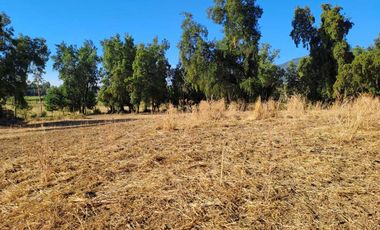 Parcela en venta en SAN CLEMENTE