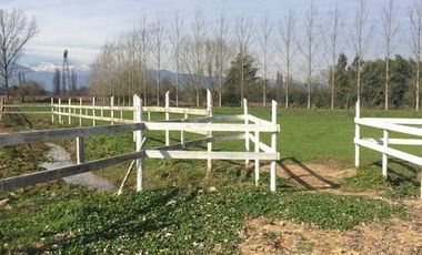 Agrícola en Venta en Ruta L 11 pasando puente Putagan al lado de Polígono ruta que conecta Linares- Colbun