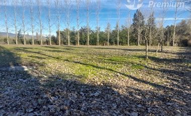 Agrícola en Venta en Ruta L 11 pasando puente Putagan al lado de Polígono ruta que conecta Linares- Colbun