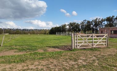 LOTE MIRADOR AL PARANA - San Pedro