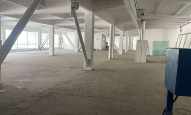 Amplia Nave Industrial de 1,230 m² en Renta sobre Calzada de Tlalpan