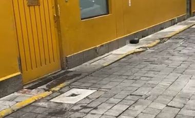 Terreno   Venta    Centro  1,430 m2 con 40 m de frente