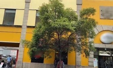 Terreno   Venta    Centro  1,430 m2 con 40 m de frente