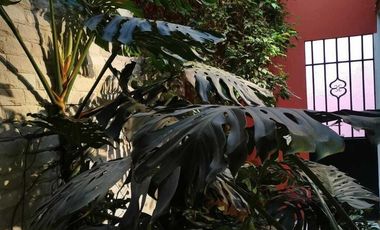 Lomas Hipódromo - Casa Venta