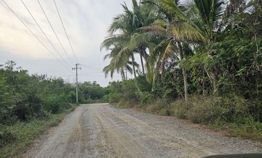 Parcela en Playa Larga Zihuatanejo