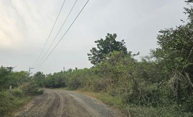 Parcela en Playa Larga Zihuatanejo