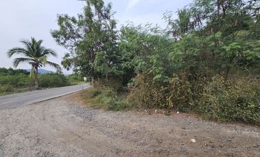 Parcela en Playa Larga Zihuatanejo