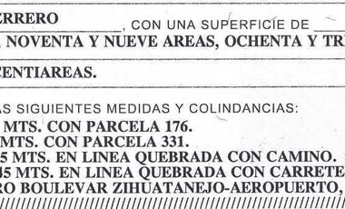 Parcela en Playa Larga Zihuatanejo