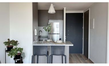 ARRIENDO METRO BELLAVISTA DE LA FLORIDA / PASO EL ROBLE