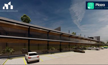 LOCALES COMERCIALES EN PREVENTA PLAZA COMERCIAL PUNTO SUR EN MAZATLAN