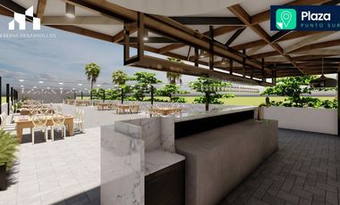 LOCALES COMERCIALES EN PREVENTA PLAZA COMERCIAL PUNTO SUR EN MAZATLAN