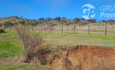 Parcela en Venta en Hacienda Pumanque, Sexta región