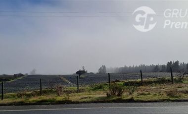Parcela en Venta en Hacienda Pumanque, Sexta región