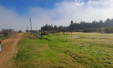 Parcela en Venta en Hacienda Pumanque, Sexta región