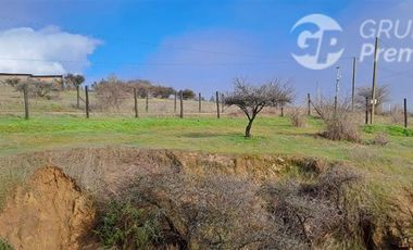 Parcela en Venta en Hacienda Pumanque, Sexta región