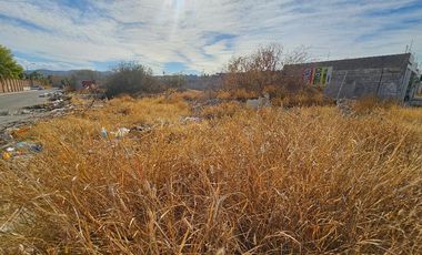 Terreno en Venta en Fracc. Ex Hacienda los Ángeles 800 m2 Torreón Coah