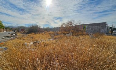 Terreno en Venta en Fracc. Ex Hacienda los Ángeles 800 m2 Torreón Coah