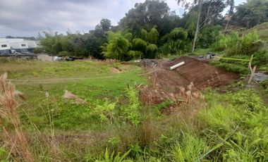 LOTE EN VENTA EN CONDINA/PEREIRA