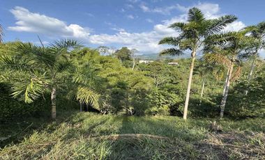 LOTE EN VENTA EN COMBIA/PEREIRA