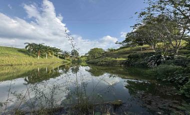 LOTE EN VENTA EN COMBIA/PEREIRA