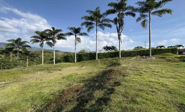 LOTE EN VENTA EN COMBIA/PEREIRA