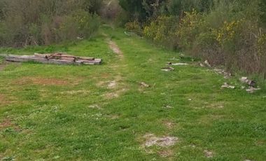 SECTOR PERIQUILLO