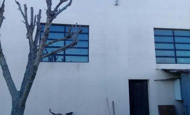 Depósito en venta - 2 toilette - 300mts2 - San Carlos, La Plata