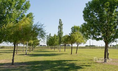 Terreno en Soldini, Barrio Las Pérgolas